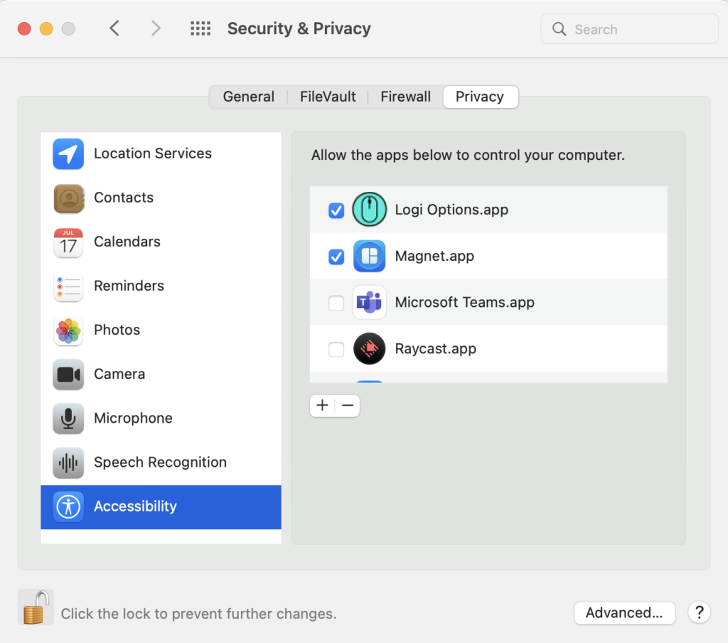 Security & Privacy window